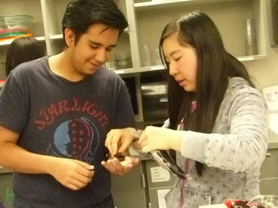 Junior Angel Anguiano and junior Ellen Tang make a mooncake filled with red bean paste.