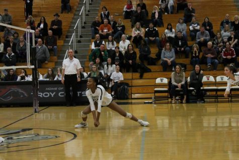 Getting low to the ground, McBride prepares to retrieve the ball.