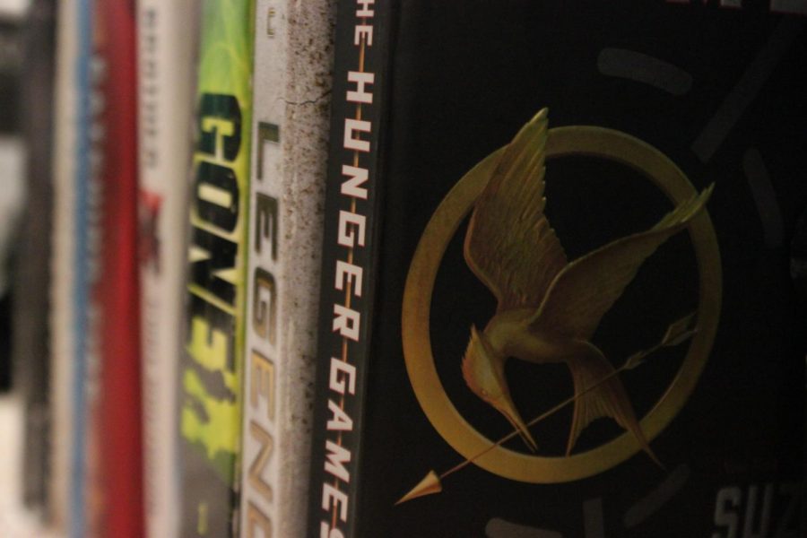 Dystopian novels have become incredibly popular amongst young adult readers. 