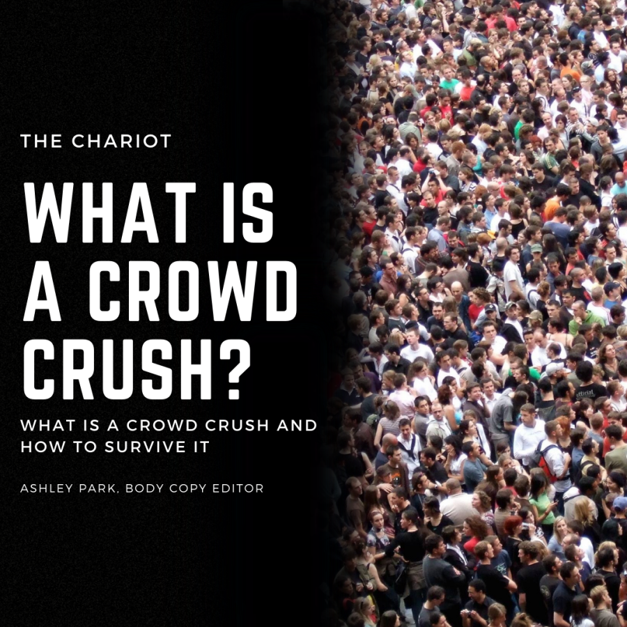Crowd Crush Infographic