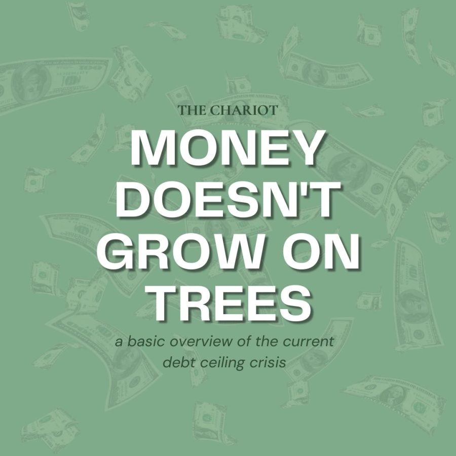 Money Doesnt Grow on Trees: Debt Ceiling Crisis Infographic