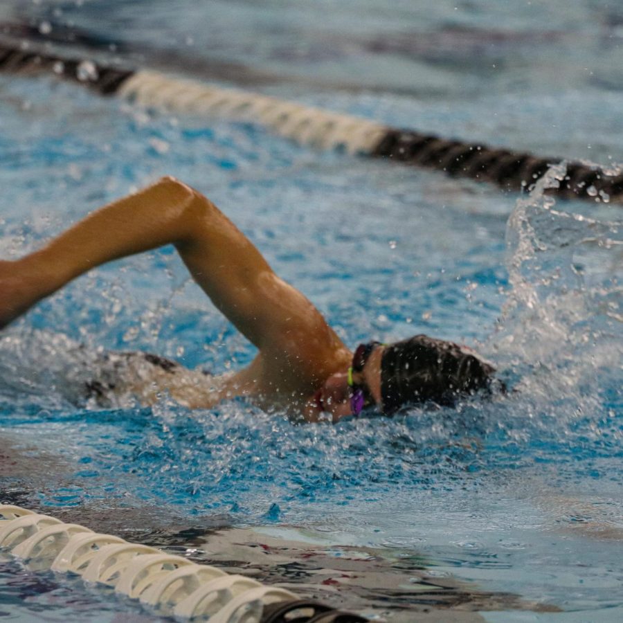 A swimmer during the 50 yard freestyle.