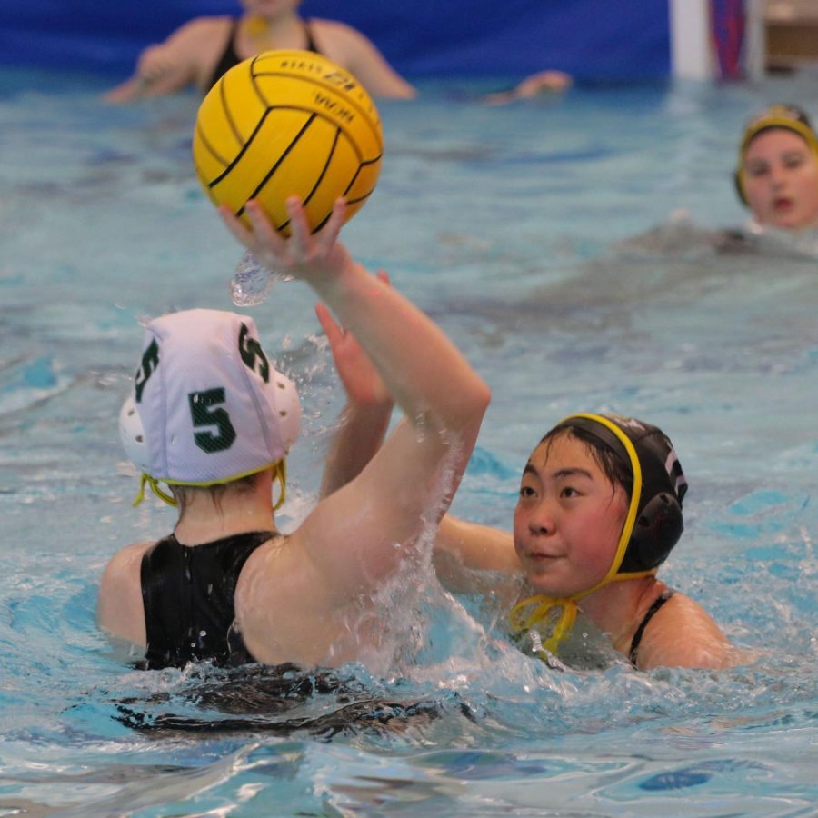 Photo Gallery: Troy United Varsity Water Polo vs. Groves High School